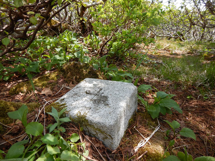 知床岳へ登頂