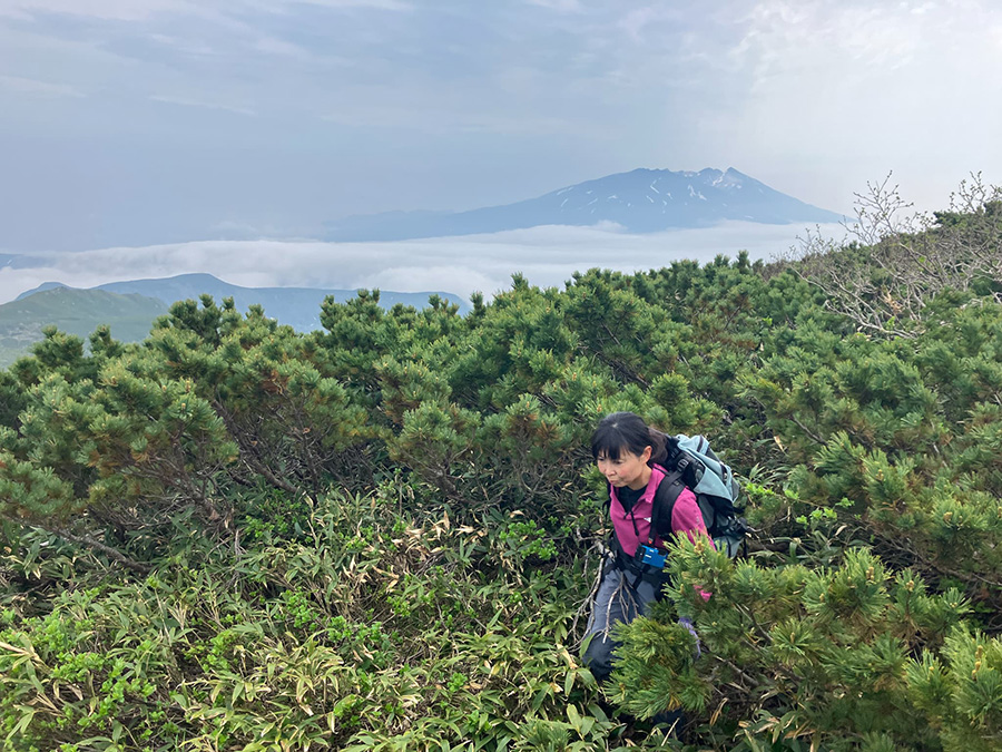 雲海と知床連山